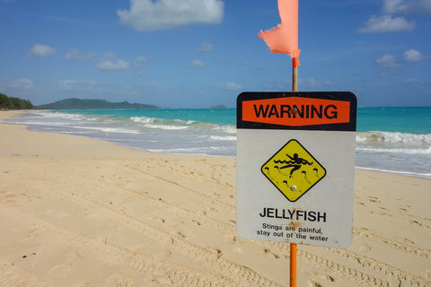 marine life lifeguard warning sign