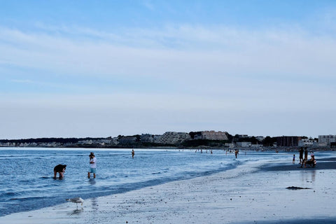 Nantasket Beach is great for fine sand and local attractions.