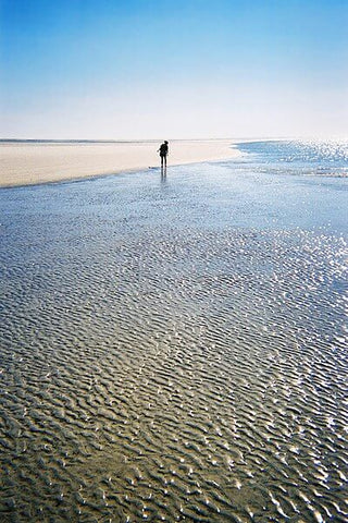 If you're on the lookout for pristine beaches, take a ferry to Sapelo Island. (Credit: Jason Priem on Wikipedia)