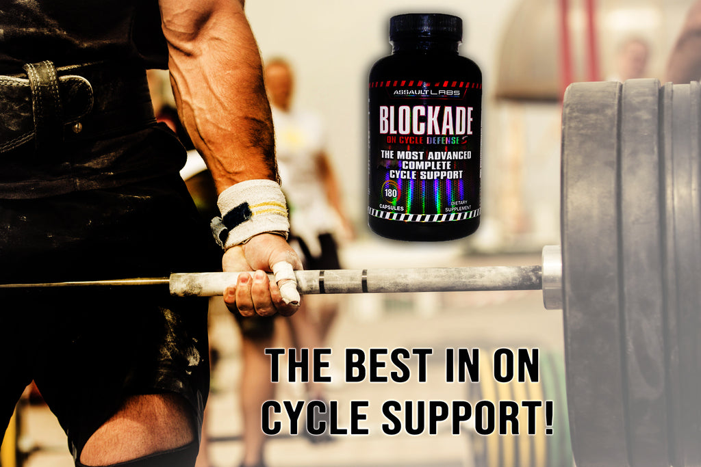 blockade, assault labs, cycle support, cycle assist, blackstone labs cycle support, ai cycle support, cel cycle assist, best cycle support reddit, joint pain, dry joints, mens supplement