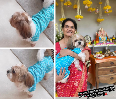 Koko Karishma Tanna-wearing-dog-sherwani