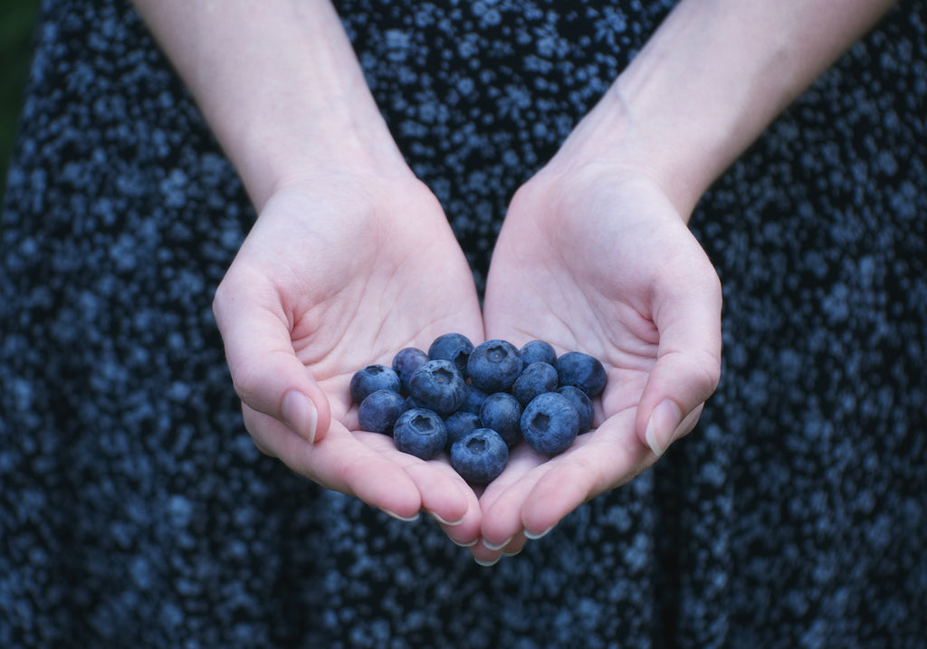nordic berries + blueberry