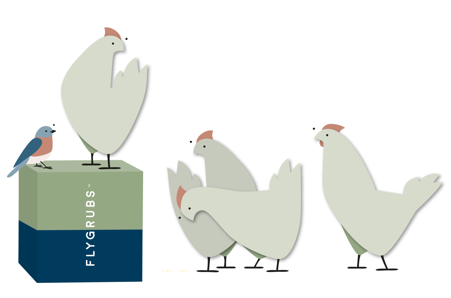 A flock of chickens adores flygrubs, a premium chicken feed additive