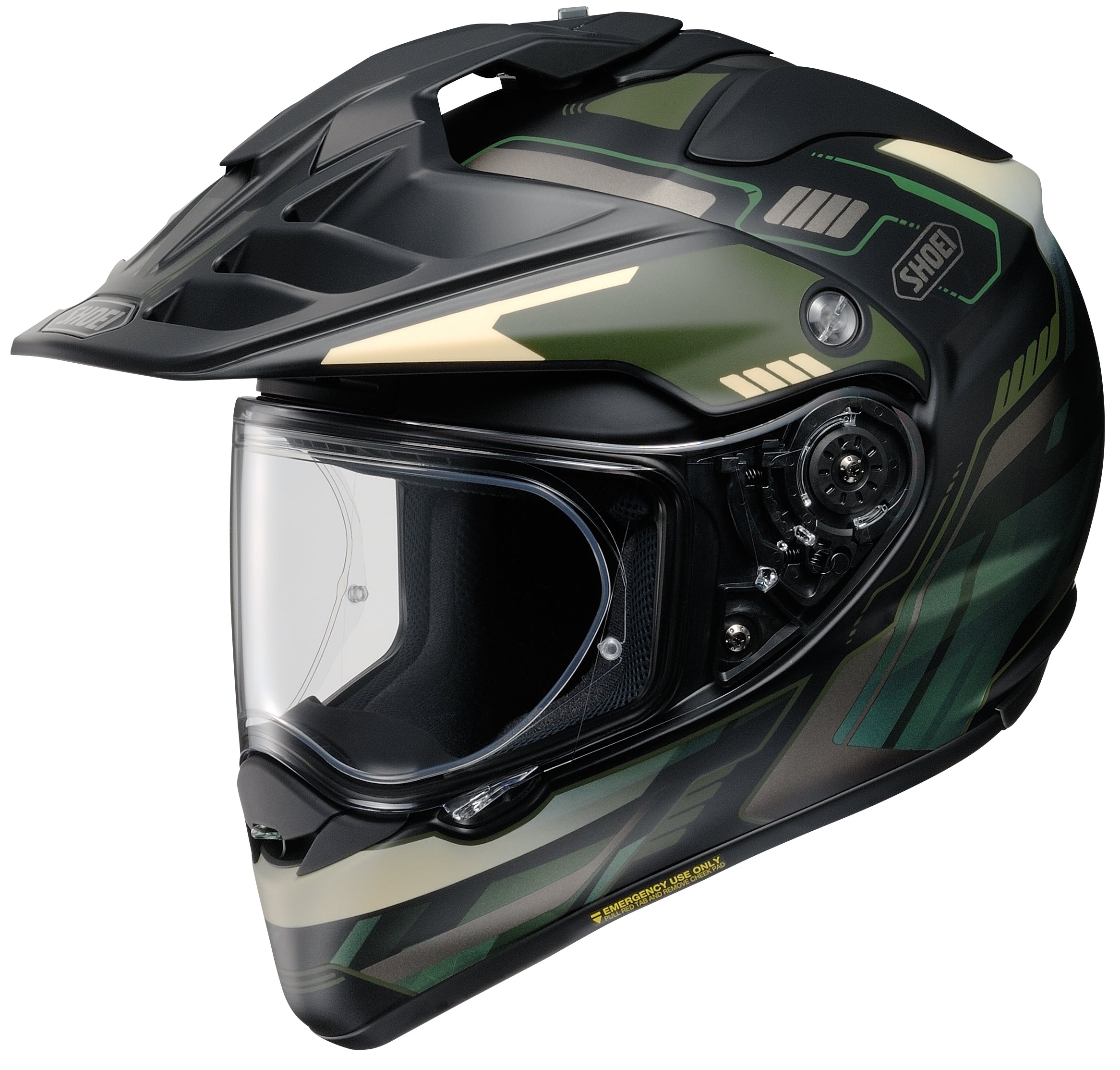 Shoei Hornet X2 Invigorate Helmet