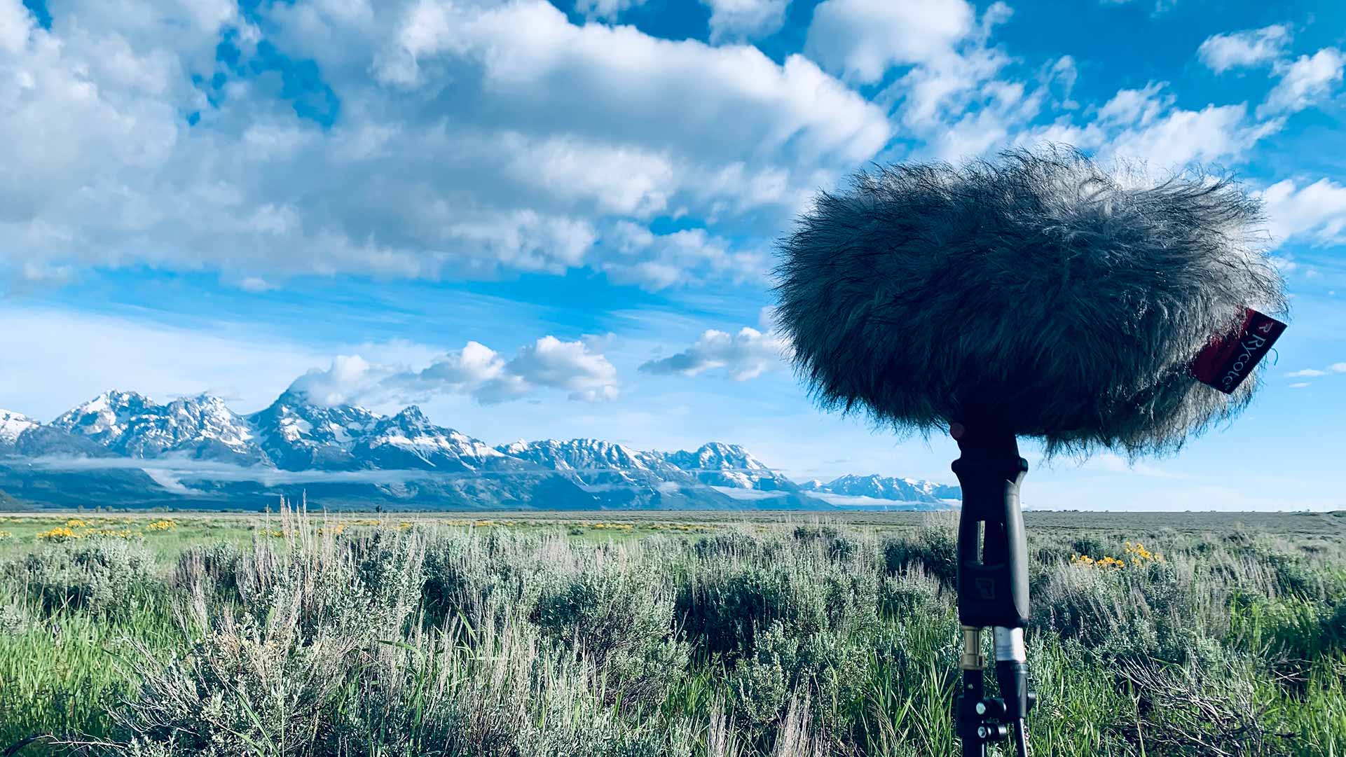 Atmos in the Grand Tetons
