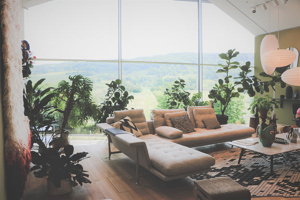 indoor plants jungle biophic design interior design nature inspired