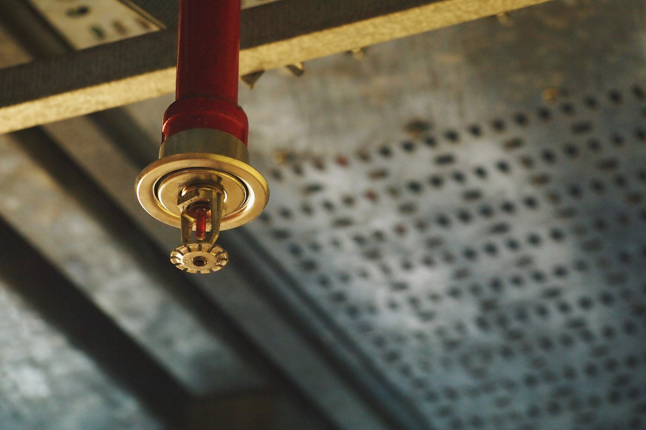 A pendent sprinkler - the most common type of sprinkler head.