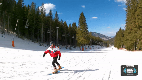 skiboards, snowfeet, skiblades, snowblades, short skis, miniskis