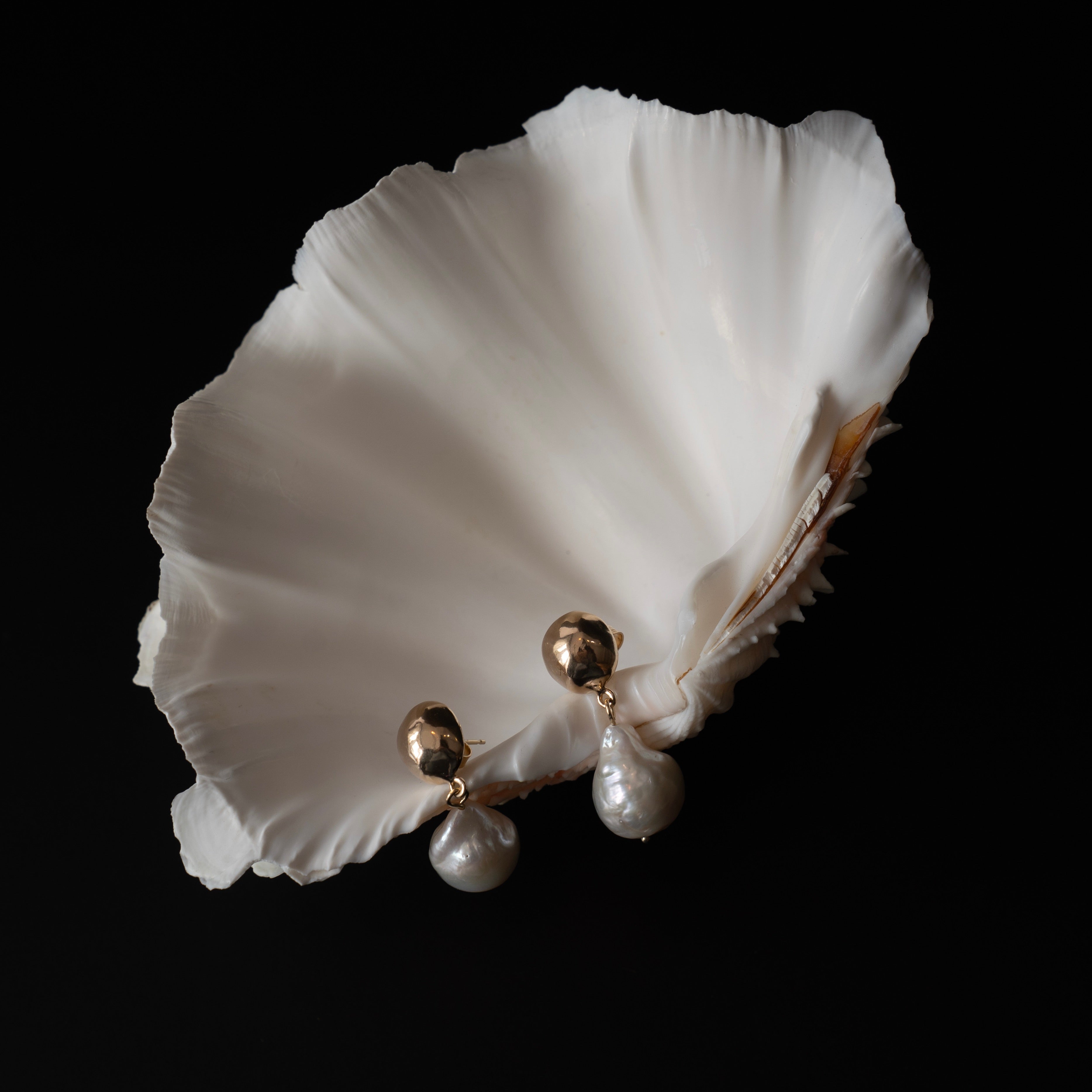 Earrings in shell