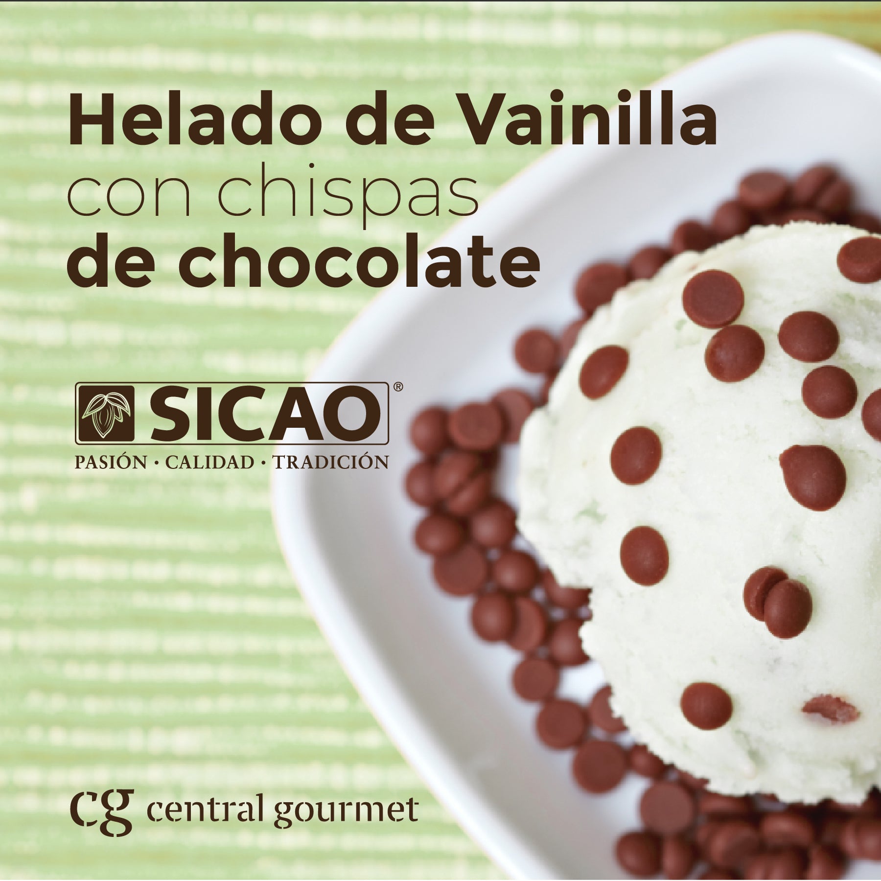 Helado de Vainilla con Chispas de Chocolate – Central Gourmet MX