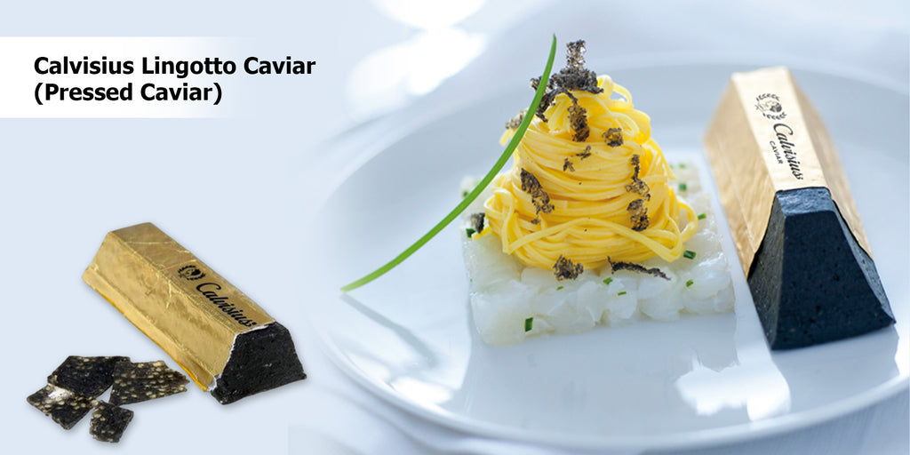 Calvisius Lingotto Caviar (Pressed Caviar) - TitaItalia