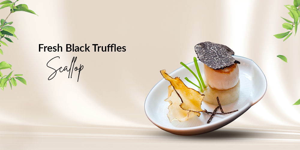 Fresh Black Truffles Scallop - TitaItalia