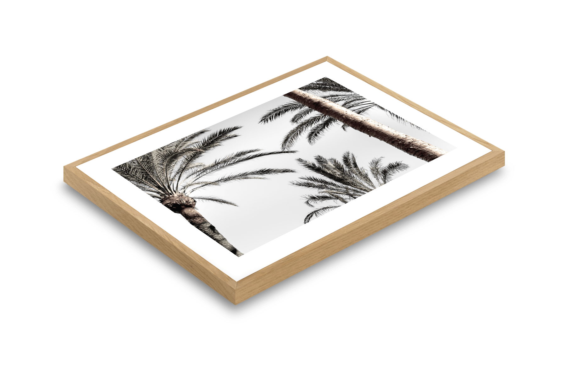 Framed Giclee Fine Art Print Oak
