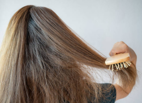 Hair Shampoo and Conditioner For Dry Hair 