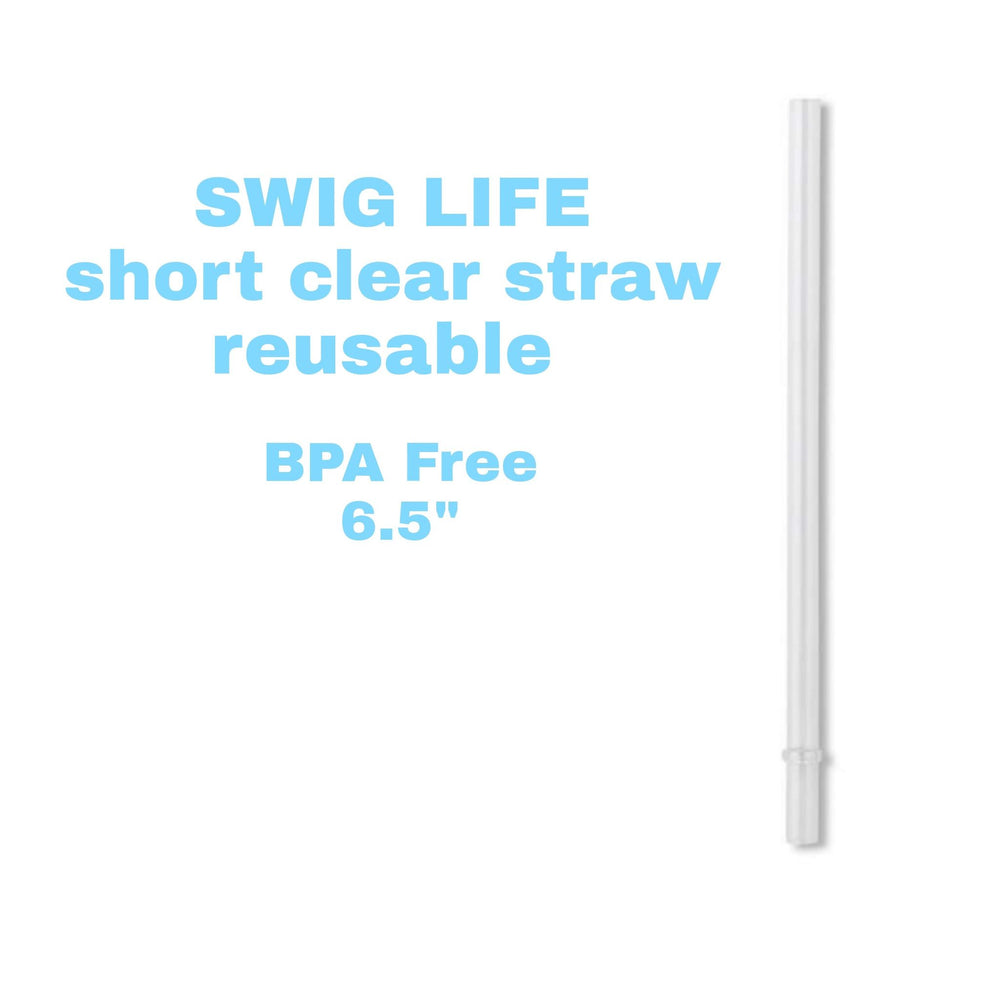 https://cdn.shopify.com/s/files/1/0020/9344/9327/products/SWIGSHORTCLEARSTRAW.jpg?v=1626967204&width=1000