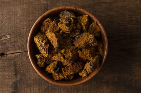 Chaga (Inonotus obliquus)