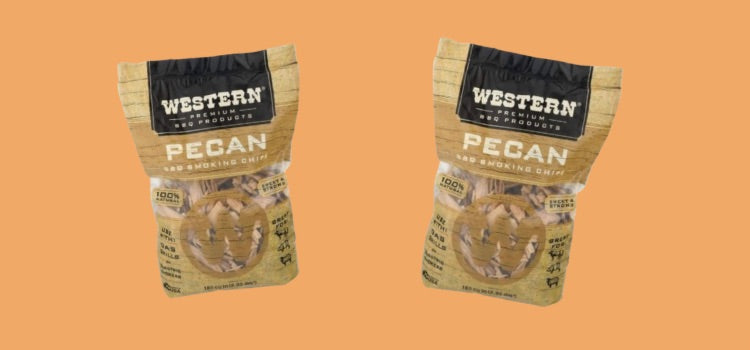 Western Pecan Smoking Chips