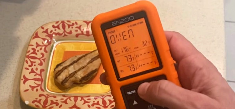 Wireless-Thermometer-Grilling-Upgraded-Accurate