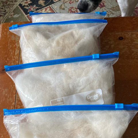 4 zipper style plastic bags filled with white/yellow dog fur to be spun into yarn