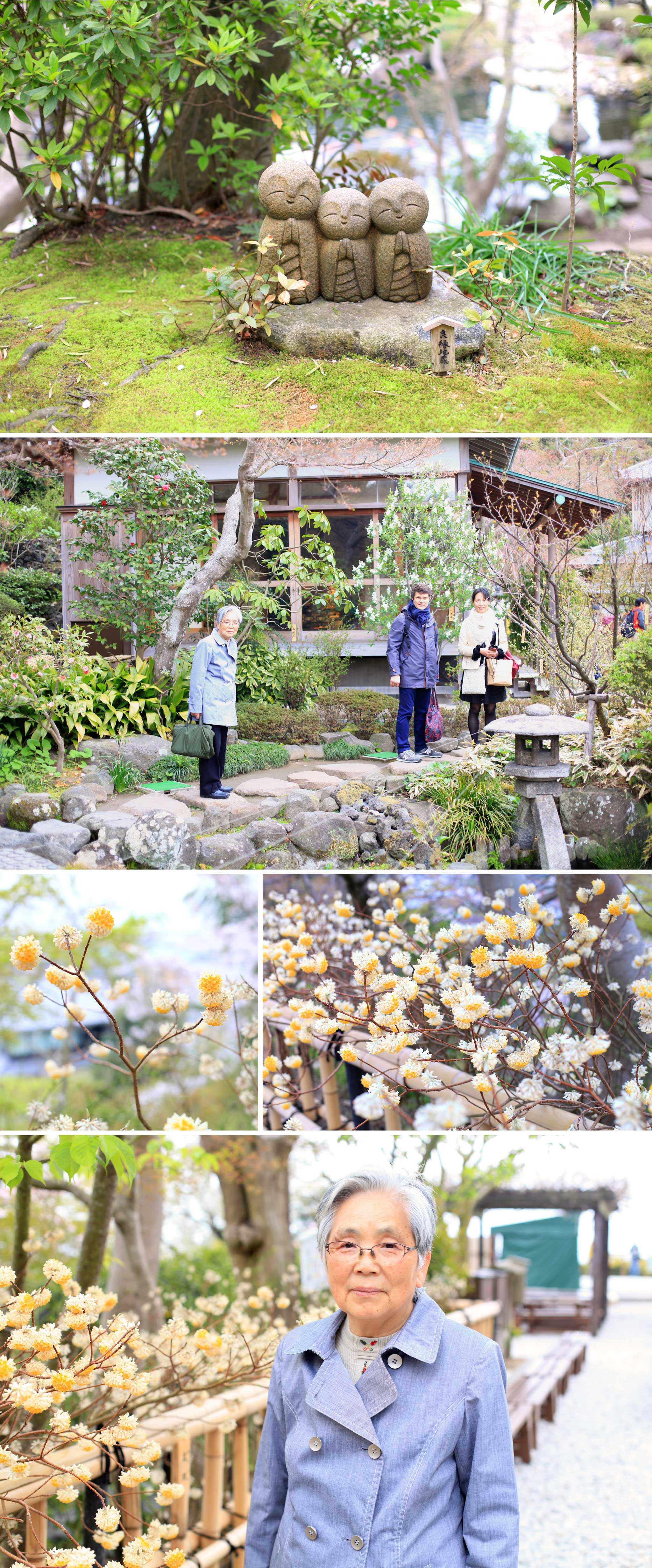 article-blog-travel-japan-meeting-kamakura-ambience-4
