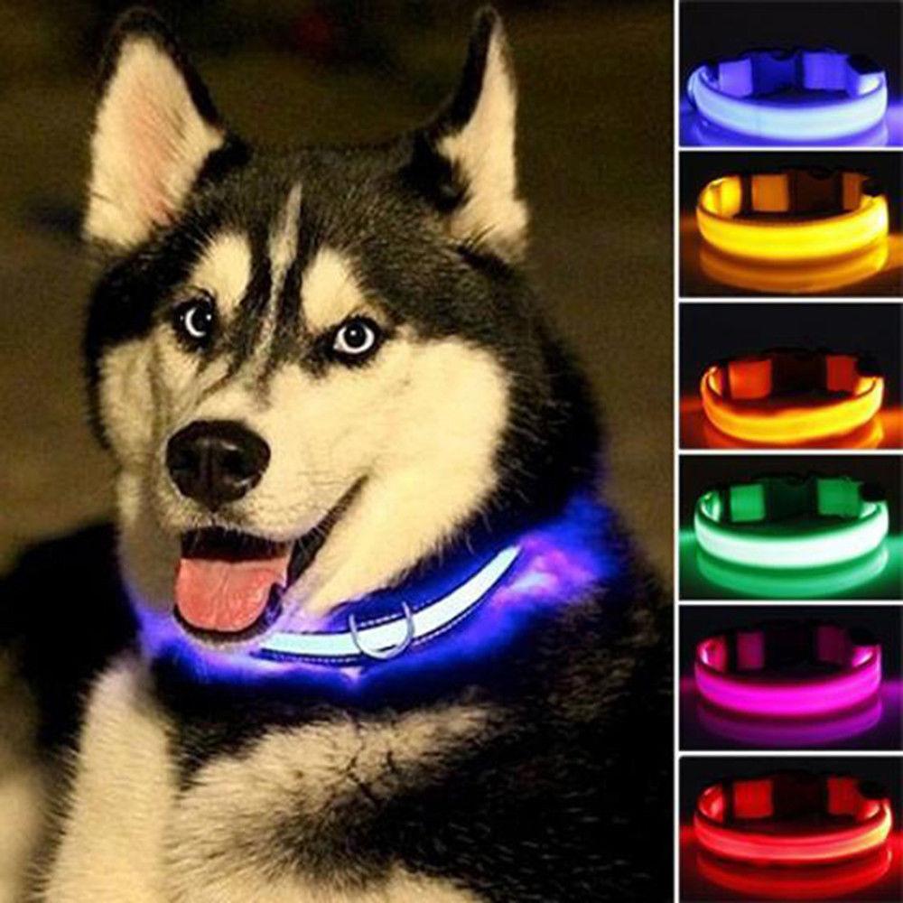 glow in the dark dog collar