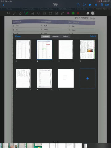 Page View in GoodNotes 5 ipadplanner.com
