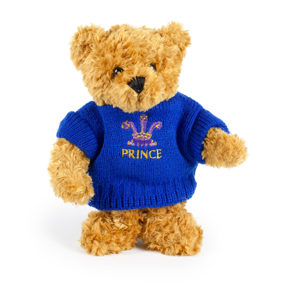 prince teddy bear