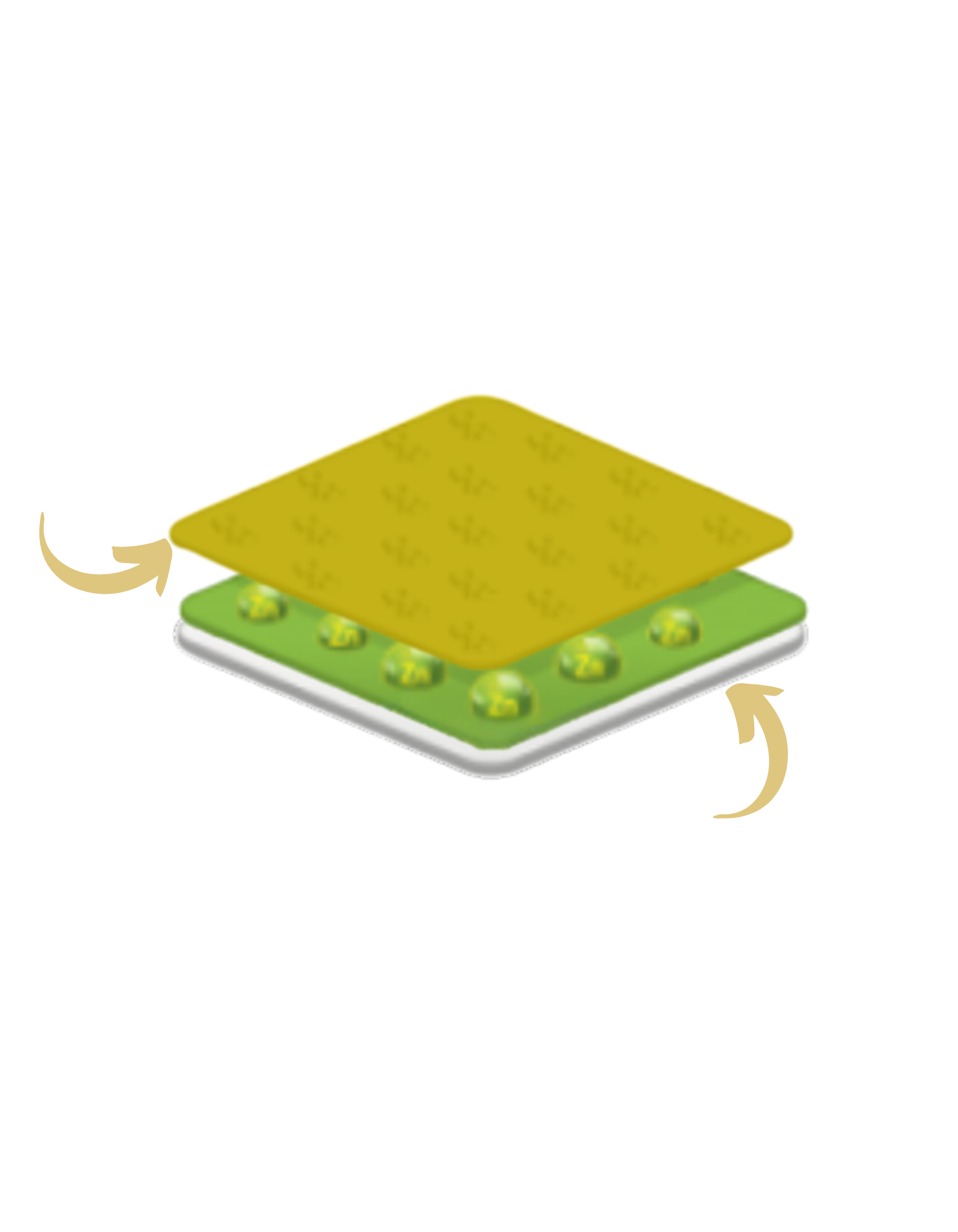 Copy of TrimPure Gold Patch (7 x 9 in).png__PID:9826991c-ec4d-4098-abae-5a1dbcba1d78