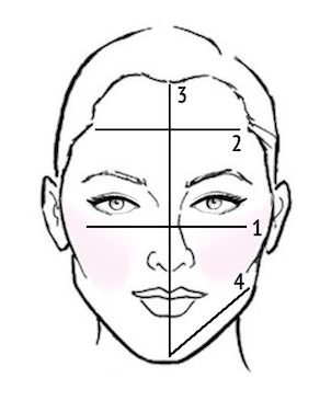 Featured image of post How To Draw A Good Face Shape