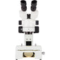 Z4 Zoom Embryo-GLO Stereoscope