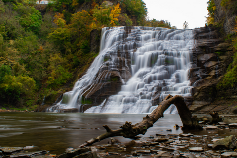 Experience one of Ithaca's secret waterfalls close to downtown and near Stewart Park, a great place to stop and enjoy a picnic lunch or just relax with a good book! With a 150ft cascading fall, watch Fall Creek’s final plunge to Cayuga Lake.