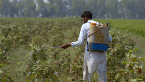 Still from 'The True Cost' (2015) of a cotton farmer spraying pesticides