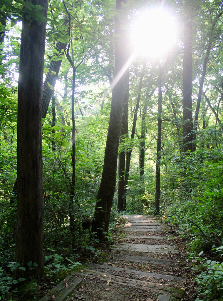 Catfish Creek