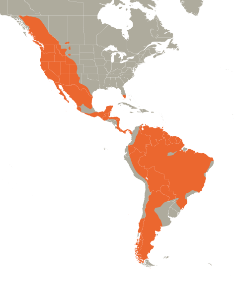mapa del territorio del puma