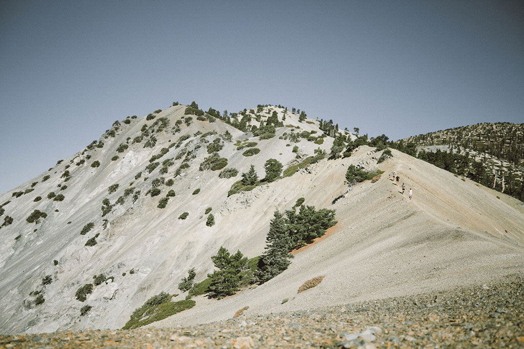 Mt baldy running trails