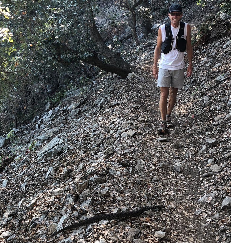 Rattle snake on trail