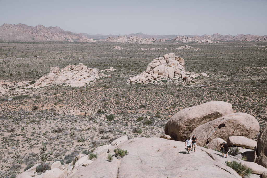 senderos para correr Joshua Tree