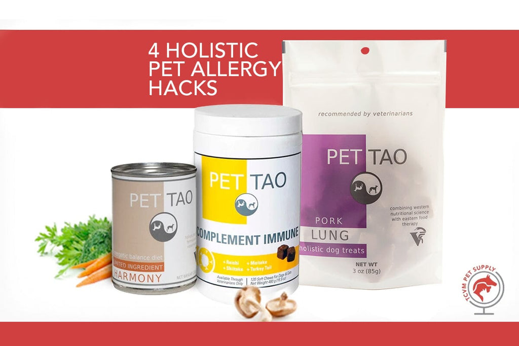 how to help dog allergies naturally