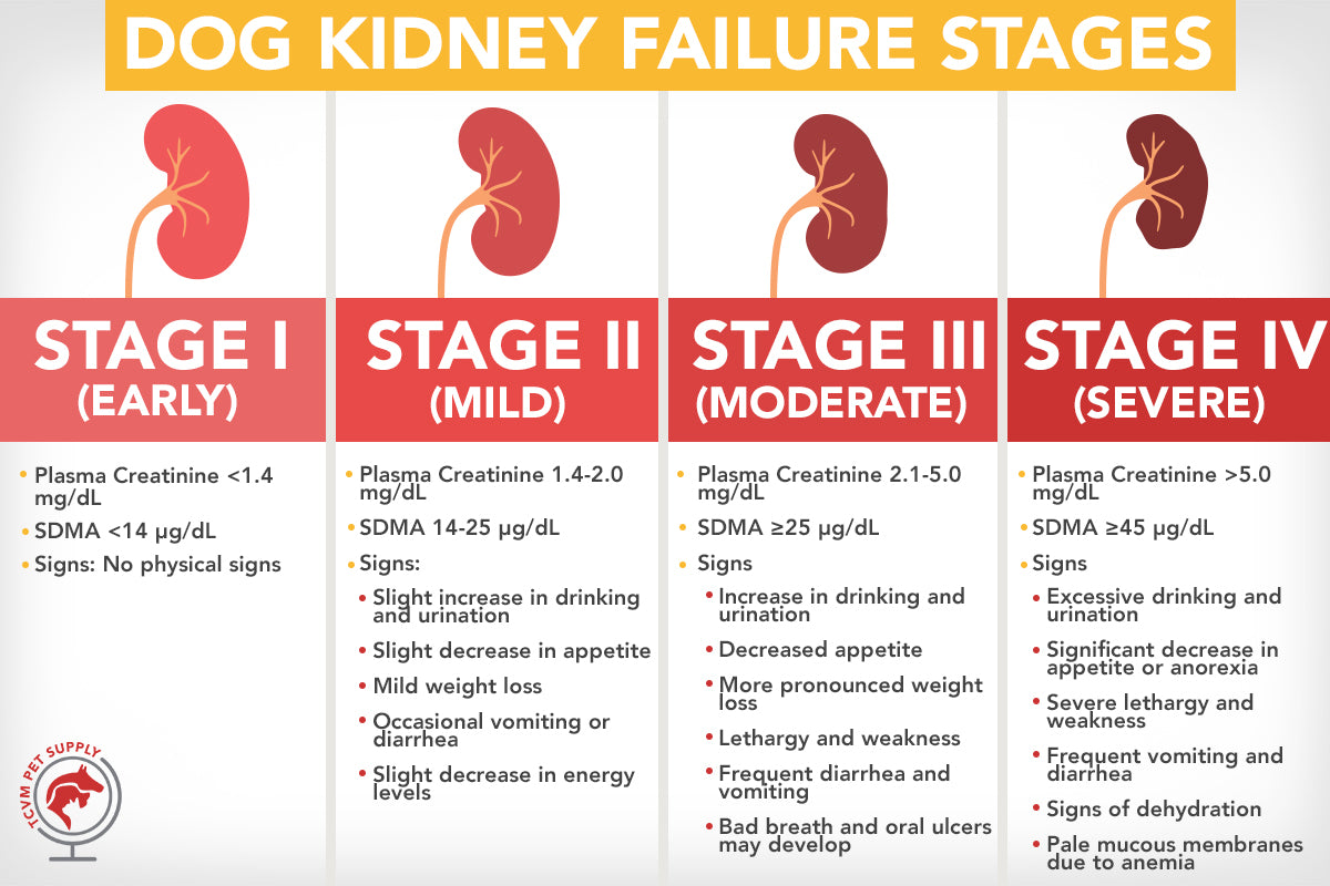 dog-kidney-failure-stages-chart-and-resources-tcvm-pet-supply