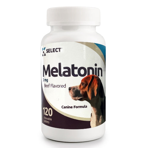 can i give my dog melatonin for anxiety