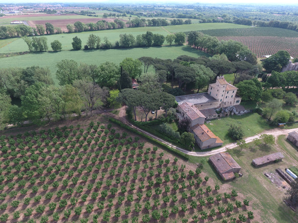 Vista Aerea Tenuta Orsini - Ortelia, Colto e Mangiato