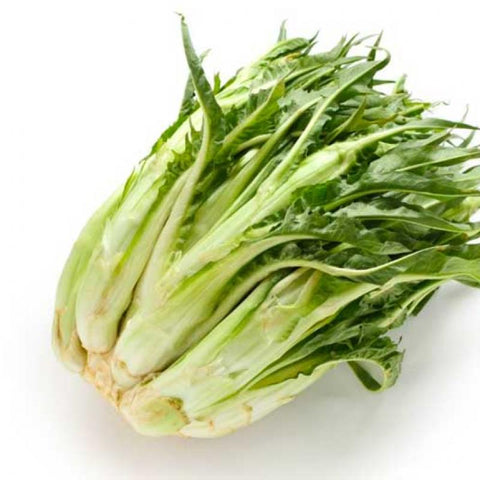 puntarelle