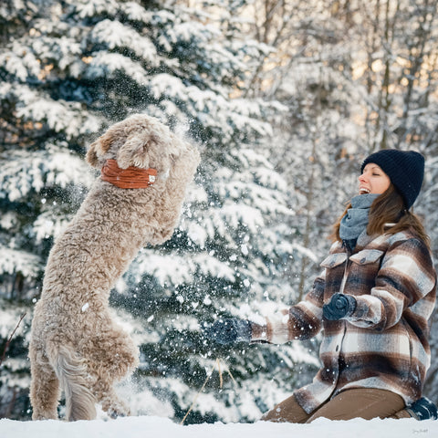 Marie-Josée Cyr jouant avec son chien Elliott D dans la neige à Eastman