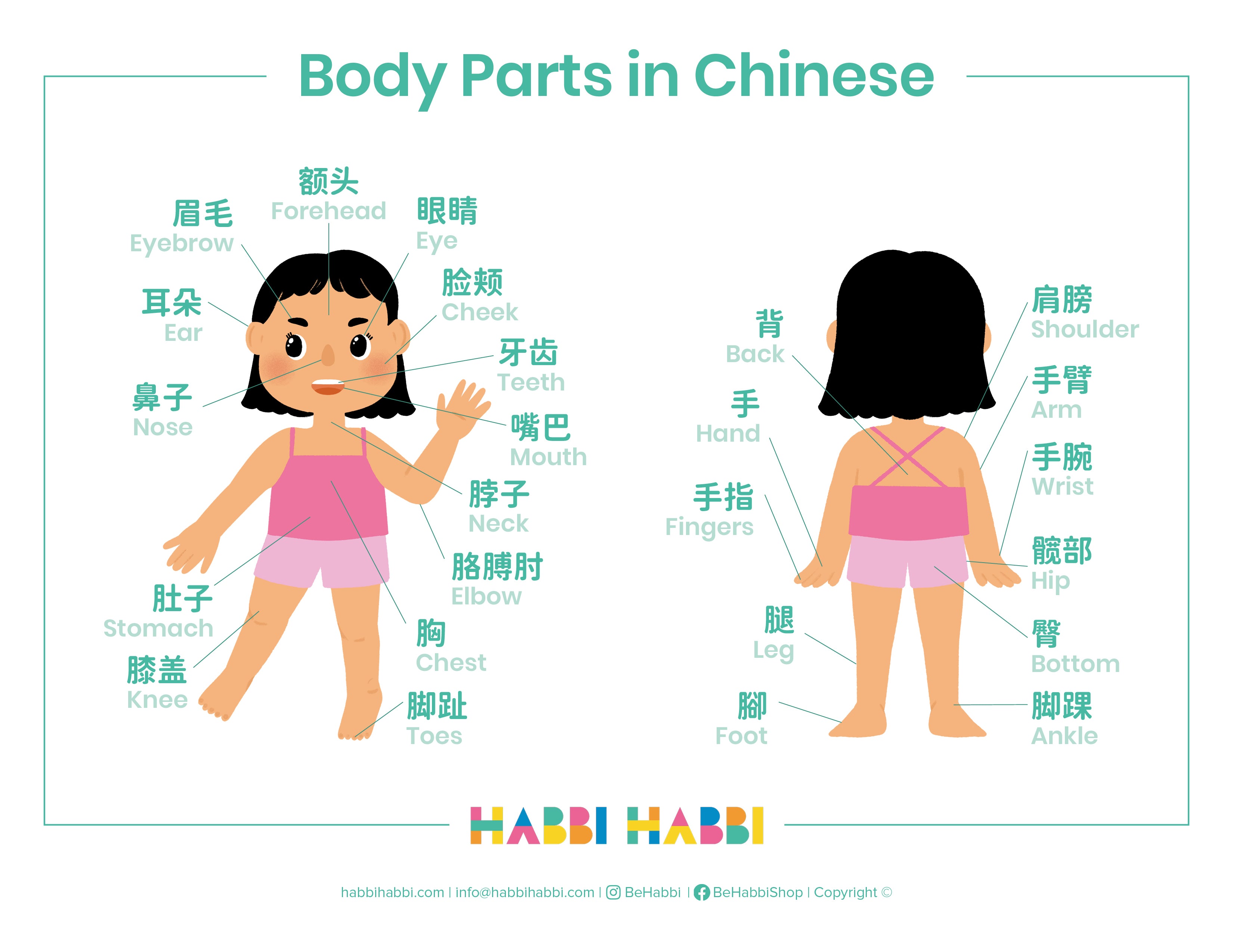 Body Parts in Chinese