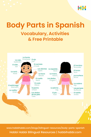 Learn 30+ Body Parts in Spanish - Free Printable included – Habbi Habbi