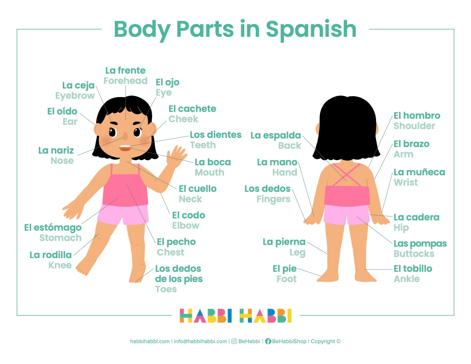 Body parts in Spanish