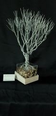 Samuel Davis Wire Sculpture