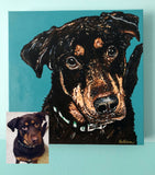 Colleen Brazell Pet Portraiture
