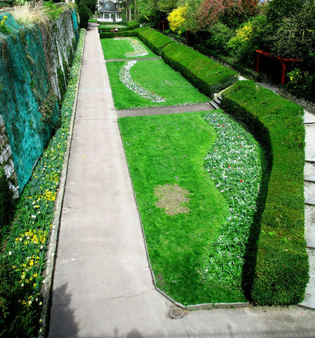 arquitectura verde jardin