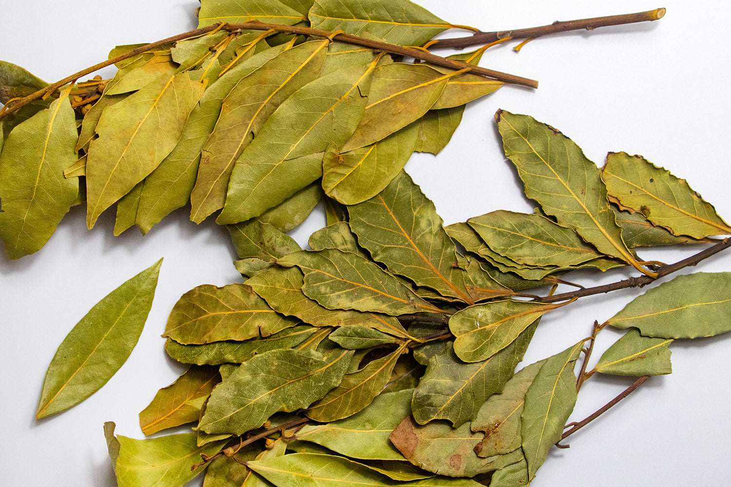 Bay Leaves ?v=1675801874